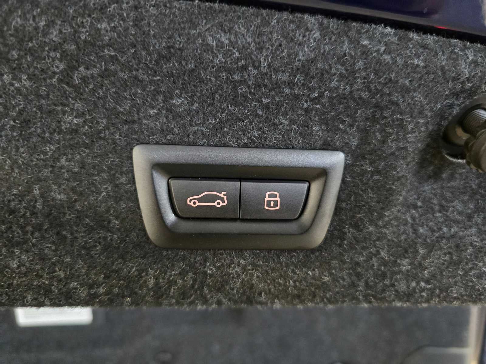 2024 BMW M Models Coupe