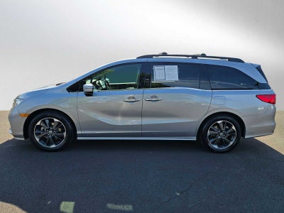 2024 Honda Odyssey Elite