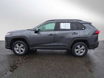 2025 Toyota RAV4 Hybrid XLE